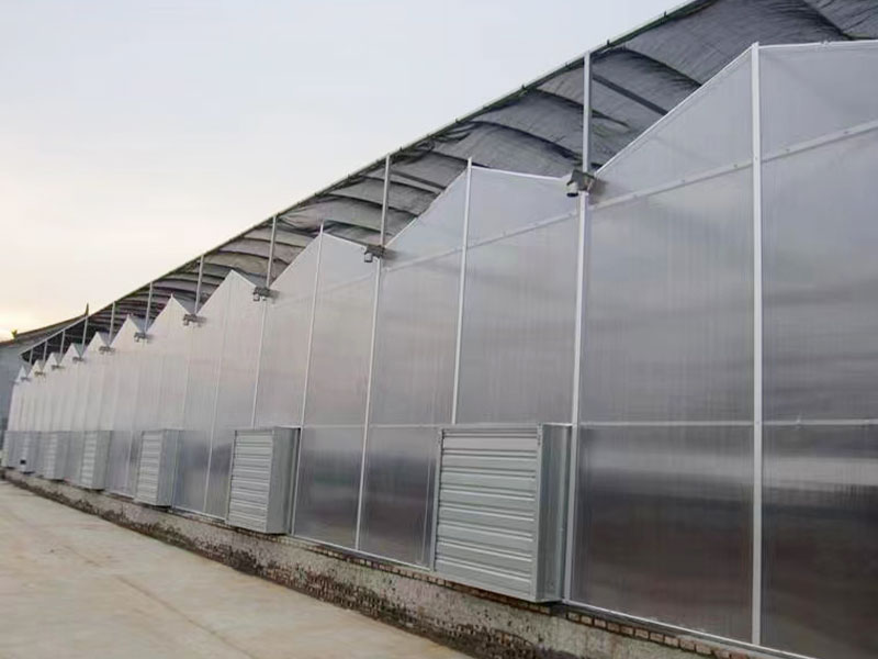 客戶案例現(xiàn)場