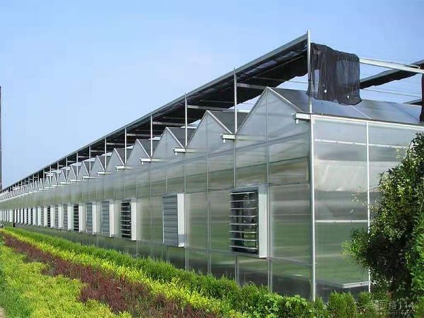 如何做好陽光溫室大棚的保養(yǎng)工作你知道嗎？
