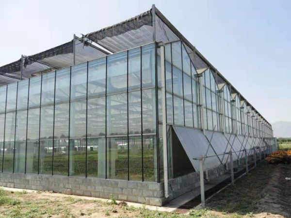 濰坊連棟溫室的使用事項有哪些？