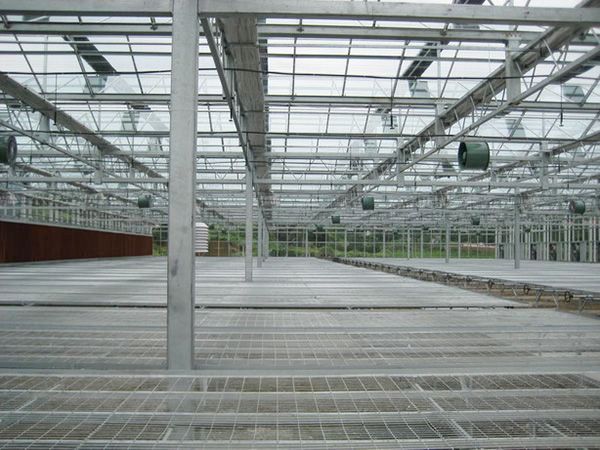 育苗苗床溫室自動化