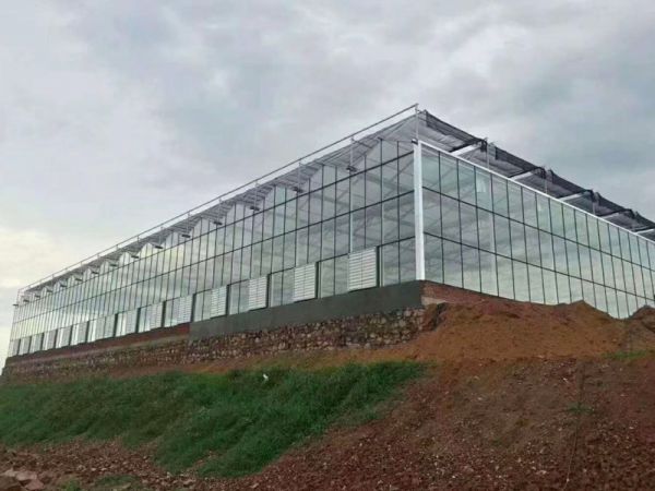 玻璃溫室大棚