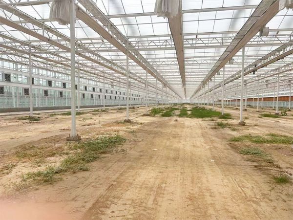 客戶案例現(xiàn)場(chǎng)