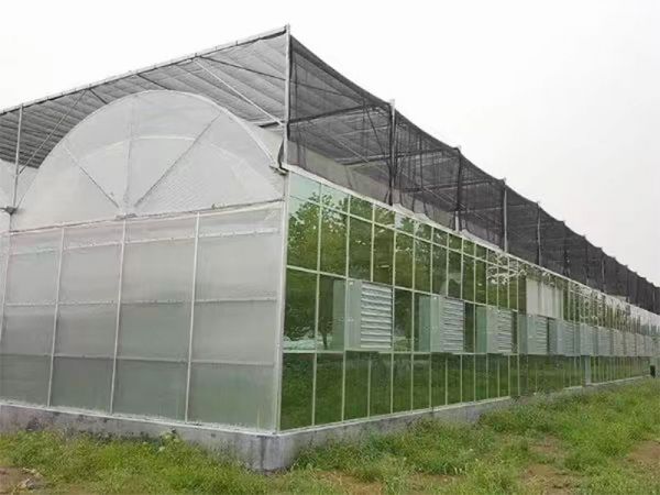 客戶案例現(xiàn)場(chǎng)