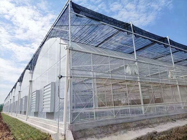 客戶案例現(xiàn)場(chǎng)