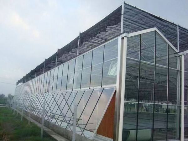 客戶案例現(xiàn)場(chǎng)