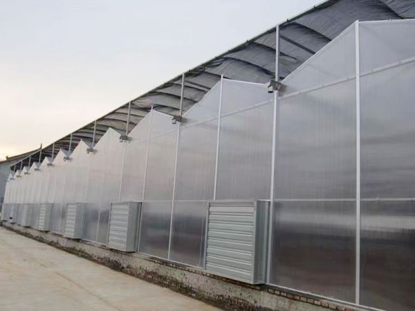 客戶案例現(xiàn)場(chǎng)